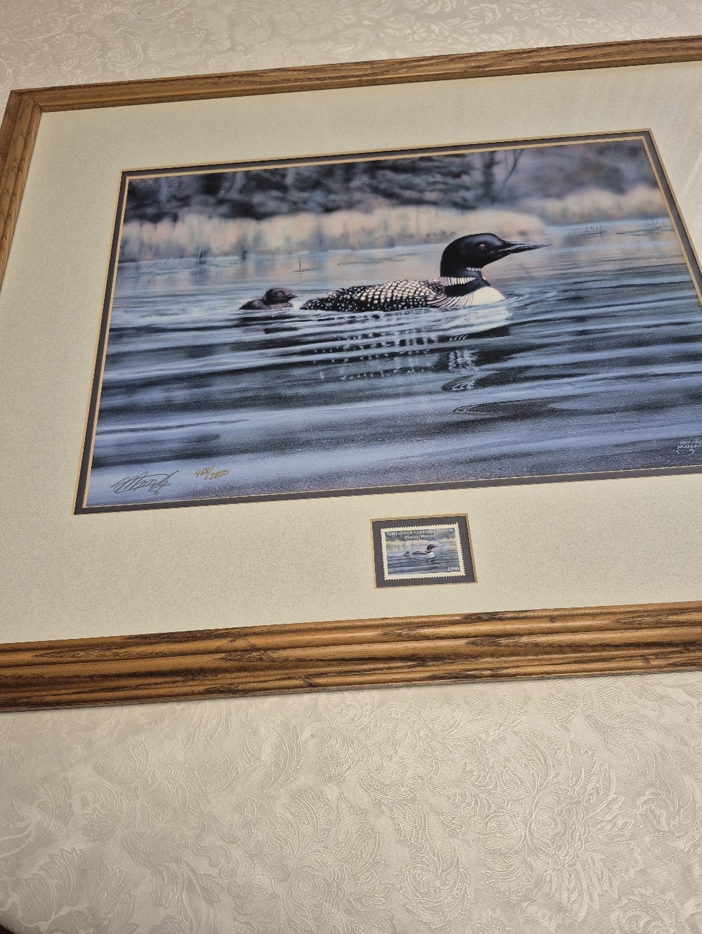 Signed Limited Edition Loon Print.
